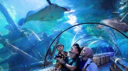 Purbalingga aquarium raksasa Obyek Wisata