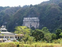 Selain Gunung Abbo, Ini 7 Destinasi Wisata di Taman Nasional Bantimurung Bulusaraung