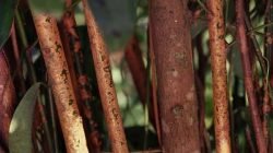 news_56058_1458723985