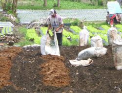 Pakar Ingatkan Petani Utamakan Penggunaan Pupuk Organik