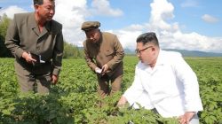 Kim Jong Un mendatangi ladang pertanian.