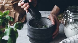 Pembuatan obat-obatan dari tanaman herbal