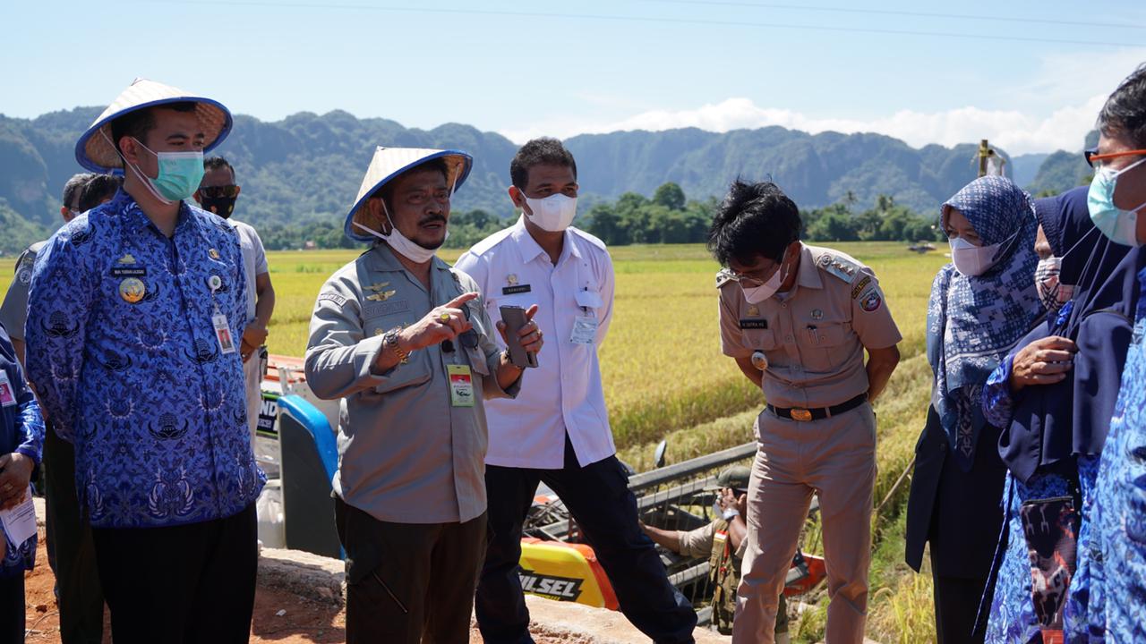 Menteri Pertanian Syahrul Yasin Limpo berada di Sawah