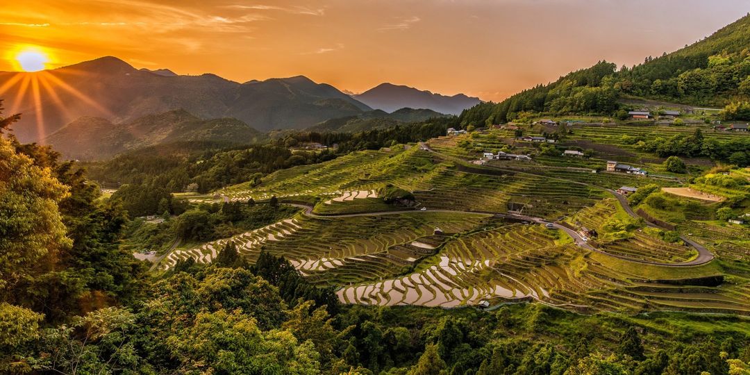 Indonesia Sering Disebut Sebagai Negara Agraris, Ternyata Ini Alasannya