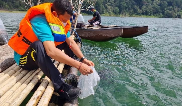 Penebaran ikan nila dan ikan mujair di Danau Buyan dan Danau Tamblingan di Buleleng, Bali
