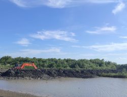 Pembukaan Tambak Besar-besaran Babat Habis Kawasan Mangrove di Pinrang