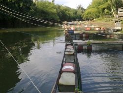 Pembudidaya Ikan di Banjar Lega, Curah Hujan Tinggi Tingkatkan Aliran Sungai Riam