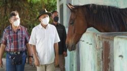 Kunjungan Mentei Koperasi dan UKM Teten Masduki di petenakan kuda pacu Gebrong Stabel di Desa Titisan, Kecamatan Sukalarang, Kabupaten Sukabumi, Jawa Barat. (foto: Ist)