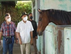 Tingkatkan Kesejahteraan Masyarakat, Pemerintah Kembangkan Sentra Peternakan Kuda
