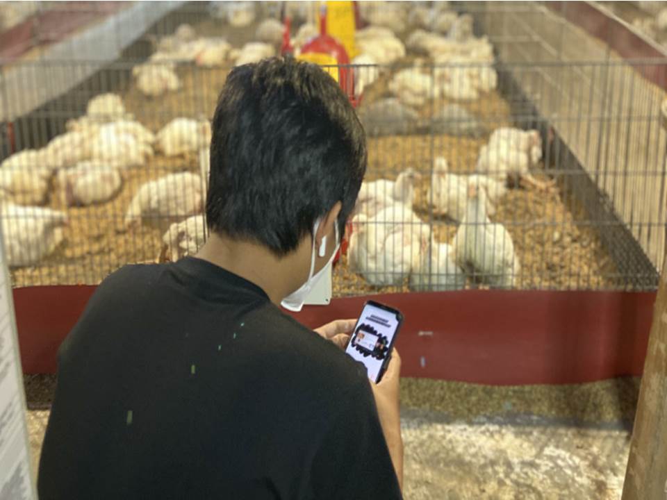 Teknologi BroilerX mampu mencatat kelembaban, suhu, kadar ammonia dan kadar CO2 di kandang. Dengan adanya aplikasi ini, keadaan kandang ayam dapat dilaporkan secara realtime.