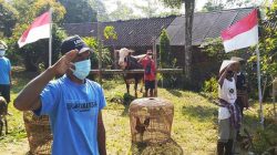 Cara Unik Warga Pedesaan di Magelang Memperingati HUT ke-76 RI (Foto: Antara)