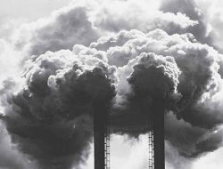 Kementerian Lingkungan Hidup Bahas Mekanisme Perdagangan Karbon dengan Bank Dunia