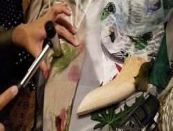 Pemuda di Yogyakarta Buat Produk Fashion Ramah Lingkungan dengan Teknik Ecoprint