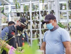 Pemkab Kediri Akan Bangun Green House Bunga Anggrek