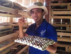 Muhlis, Milenial Asal Bantaeng yang Sukses Beternak Puyuh Petelur