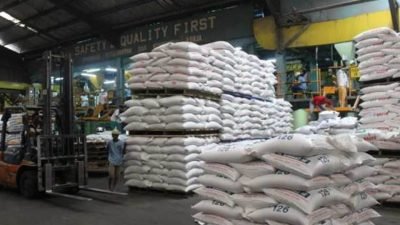 Foto: poultryindonesia.com
