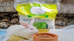 Herbi Feed, pellet untuk ternak kelinci