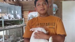 Genthur Rahmadhani, diusia yang masih 15 tahun sukses ternak kelinci (Foto: Detik.com)