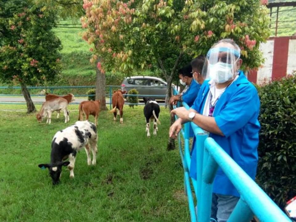 Bupati Buol Amirudin Rauf saat meninjau model pengembangan sapi di mini ranch milik Balai Embrio Ternak (BET) Kementerian Pertanian di Cipelang, Bogor, Jawa Barat. (Foto: Antara/Humas Setda Pemkab Buol)