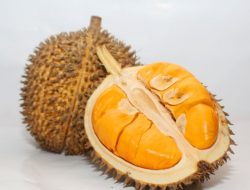 Mirip Buah Durian, Kenali Buah Lai dan Manfaatnya untuk Tubuh