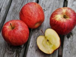 Kenali Berbagai Kandungan Buah Apel untuk Buat Tubuh Jadi Sehat