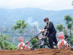 Ramaikan Gerakan Olah Tanam Jagung di Garut, Mentan Himbau Optimalkan Lahan Pertanian
