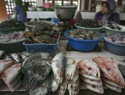 Cuaca Buruk Picu Kenaikan Harga Ikan di Sejumlah Daerah di Jawa Timur