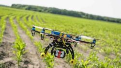 Penggunaan drone untuk pertanian