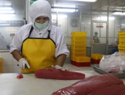 Lebih dari Setengah Konsumen Seafood di Dunia Inginkan Produk Perikanan Berkelanjutan