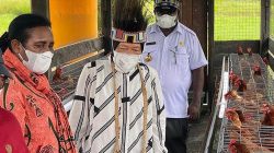 Menteri Sosial Tri Rismaharini meninjau salah satu kandang ayam bantuan Kemensos di Kampung Amagais, Distrik Der Komur, Kabupaten Asmat, Papua, Kamis 11 November 2021. (Foto: ANTARA/HO) Kemensos)
