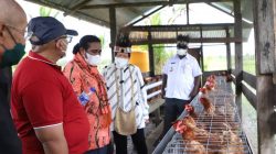 Menteri Sosial Tri Rismaharini meninjau salah satu kandang ayam bantuan Kemensos di Kampung Amagais, Distrik Der Komur, Kabupaten Asmat, Papua, Kamis 11 November 2021. (Foto: kemensos.go.id)