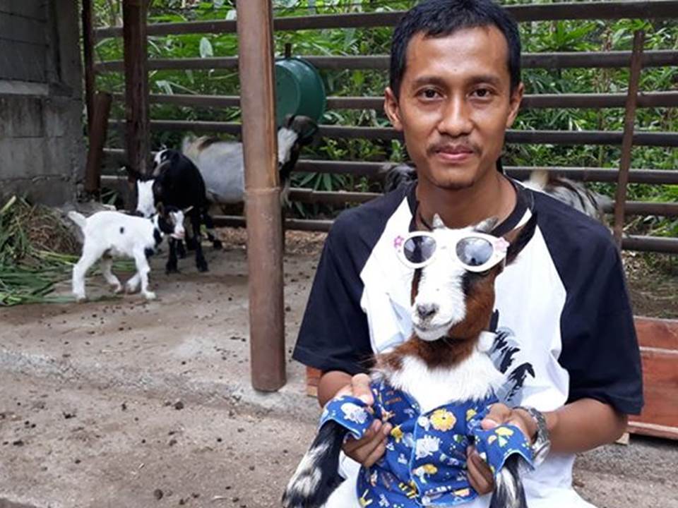 Dwi Susanto menunjukkan salah satu kambingnya di Pedukuhan Pereng Wetan RT 55 Kelurahan Argorejo, Kapanewon Sedayu, Bantul.