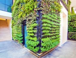Lahan Terbatas Tapi Ingin Berkebun? Ini Tips Membuat Taman Vertikal di Rumah