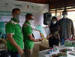 Tani Murni-PRISMA Dukung Kemandirian Pertanian Sayuran di Papua
