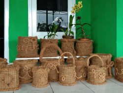 Buat Pot Berbahan Sabut Kelapa, Wulandari Sukses Tarik Minat Kolektor Bunga