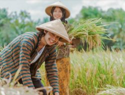 5 Provinsi dengan Angka Pemuda Berprofesi Petani Terbanyak di Indonesia