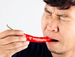 Kenapa Pedas Terasa Membakar Mulut? Ini Penjelasan Singkatnya