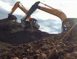 Cangkang Sawit Asal Sulbar Diminati Pasar Jepang, Berhasil Ekspor Hingga 10.500 Ton