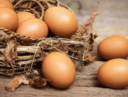Suka Mengonsumsi Telur Setiap Hari? Ini Jumlah Maksimal mengonsumsi Telur Sehari