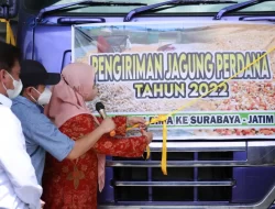 Kementan Bersama Pemda Bima Kirim 2.600 Ton Jagung ke Surabaya