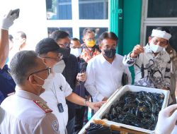 Optimalkan Potensi Perikanan Provinsi Riau, KKP Siapkan Anggaran Rp37,53 Miliar
