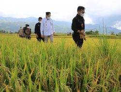 Upayakan Pertanian Berkelanjutan, Kementan Terapkan Konsep Integrated Farming di Aceh