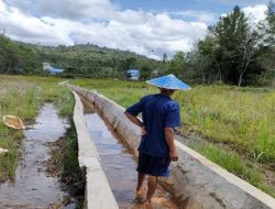 Produktivitas Pertanian di Melawi Telah Meningkat Berkat Program RJIT