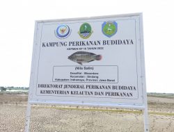 KKP Resmikan Kampung Nila Salin di Indramayu, Pembudidaya Optimis Tembus Pasar Nasional