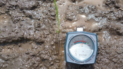 ilustrasi, pengukuran pH tanah