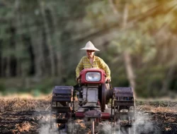 Kenali Jenis Bajak Traktor dan Kegunaannya untuk Pengolahan Lahan Pertanian