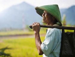 Dipandang Sebelah Mata, 5 Negara Ini Justru Memuliakan Petani