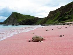 4 Wisata Bahari Paling Indah di Indonesia yang Wajib Dikunjungi Traveler