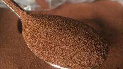 Cara Menetaskan Artemia dengan Mudah, Tanpa Ribet!