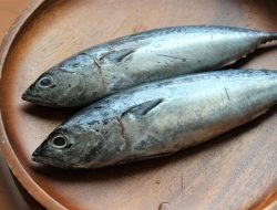 Mengenal Jenis-Jenis Ikan Tuna yang Sering Dikonsumsi